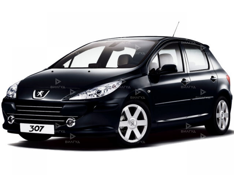 Диагностика электрооборудования Peugeot 307 в Улан-Удэ