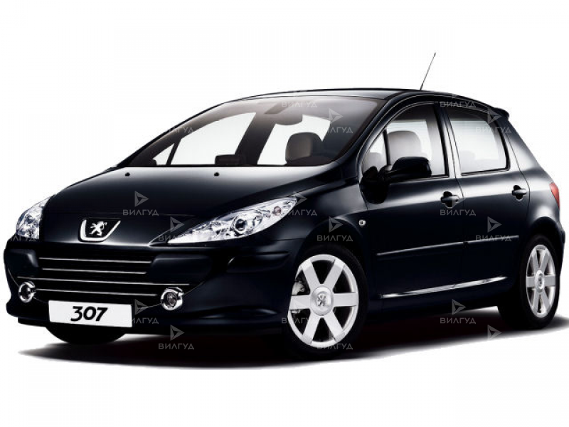 Замена звукового сигнала Peugeot 307 в Улан-Удэ